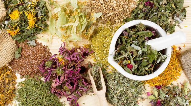 Medicinal plants that help in the fight against diabetes